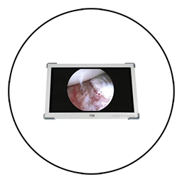 Monitorit
